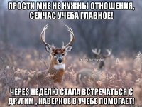 Прости мне не нужны отношения, сейчас учеба главное! Через неделю стала встречаться с другим , наверное в учебе помогает!