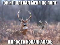 он не шлепал меня по попе я просто испачкалась