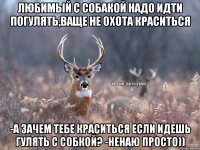 любимый с собакой надо идти погулять,ваще не охота краситься -а зачем тебе краситься если идешь гулять с собкой? -ненаю просто))