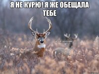 я не курю! я же обещала тебе 