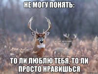 Не могу понять: то ли люблю тебя, то ли просто нравишься