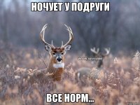 ночует у подруги все норм...