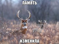 Память изменила