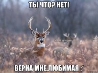 ты что? нет! верна мне,любимая :*