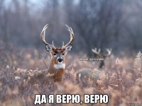  Да я верю, верю