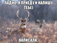 Ладно, я приеду и напишу тебе) Написала..