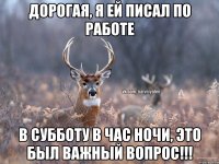 Дорогая, я ей писал по работе В субботу в час ночи, это был важный вопрос!!!