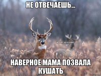 не отвечаешь... наверное мама позвала кушать