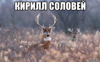 кирилл соловей 