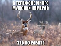 в телефоне много мужских номеров это по работе