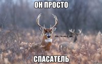 Он просто Спасатель