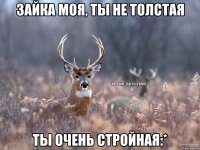 Зайка моя, ты не толстая Ты очень стройная:*