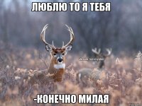 Люблю то я тебя -Конечно милая