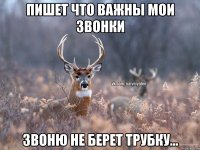 пишет что важны мои звонки звоню не берет трубку...