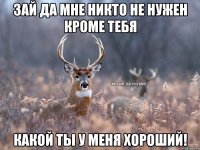 зай да мне никто не нужен кроме тебя какой ты у меня хороший!