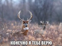  Конечно я тебе верю