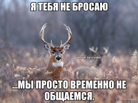 Я тебя не бросаю ...мы просто временно не общаемся.