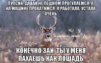 пупсик, давай не пешком прогуляемся, а на машине прокатимся. я работала, устала очень конечно зай. ты у меня пахаешь как лошадь