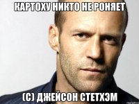 картоху никто не роняет (с) Джейсон Стетхэм