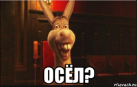  осёл?