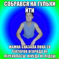 собрався на гульки йти мамка сказала пока 20 гектаров огорода не перекопаєш, нікуда не підеш