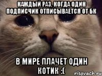 Каждый раз, когда один подписчик отписывается от БК В мире плачет один котик :(