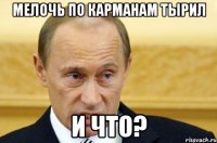 мелочь по карманам тырил и что?