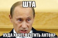 Шта Куда хочет всутить Антон?