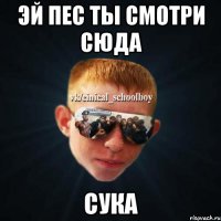 эй пес ты смотри сюда СУКА