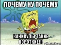 почему ну почему каникулы такие короткие!!!