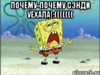 почему-почему Сэнди уехала!:((((((( 