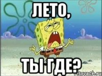 Лето, ты где?