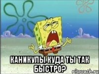  Каникулы куда ты так быстро?