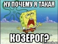 НУ ПОЧЕМУ Я ТАКАЯ КОЗЕРОГ?