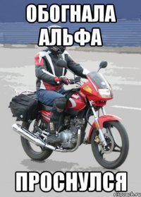 обогнала альфа проснулся