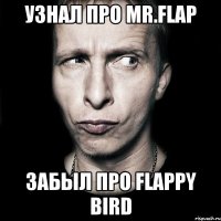 Узнал про Mr.Flap забыл про Flappy Bird