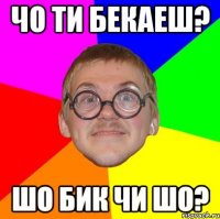 Чо ти бекаеш? шо бик чи шо?