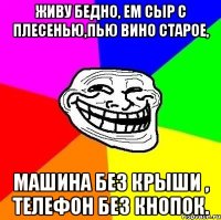 Живу бедно, ем сыр с плесенью,пью вино старое, машина без крыши , телефон без кнопок.