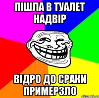 Пішла в туалет надвір відро до сраки примерзло