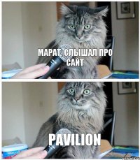 Марат, слышал про сайт PAVILION