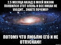 2.5 месяца назад в моей жизни появился этот олень и все никак не уходит... Знаете почему? Потому что люблю его и не отпускаю!