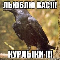 Льюблю вас!!! Курлыки !!!