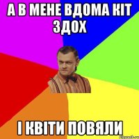 а в мене вдома кіт здох і квіти повяли