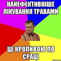 найефективніше лікування травами це кропивою по сраці