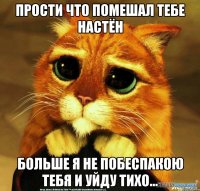 Прости что помешал тебе Настён Больше я не побеспакою тебя и уйду тихо...