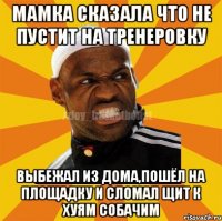 Мамка сказала что не пустит на тренеровку Выбежал из дома,пошёл на площадку и сломал щит к хуям собачим