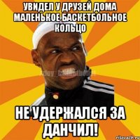 увидел у друзей дома маленькое баскетбольное кольцо не удержался за данчил!