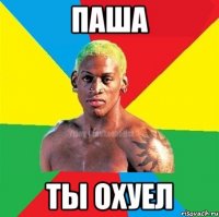 паша ты охуел