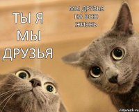 ты я мы друзья мы друзья на всю жизнь