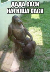 дада саси катюша саси 